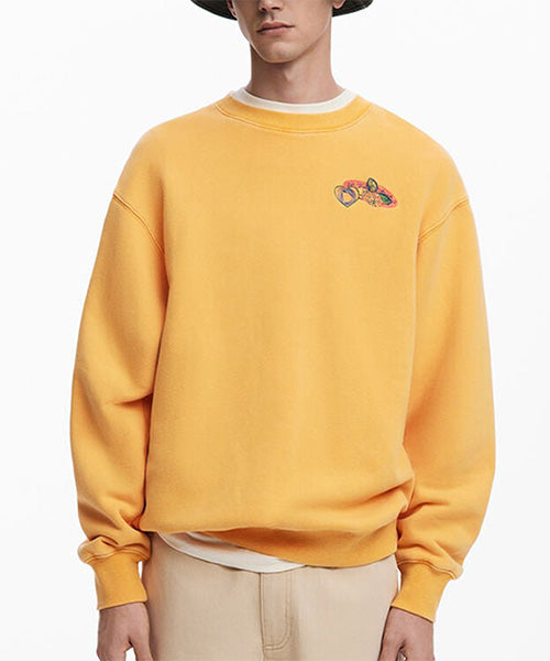 刺繍入りスウェット Desigual 25WMSK02