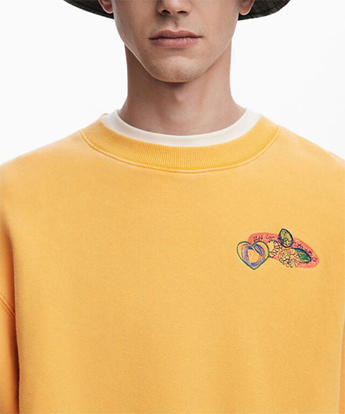 刺繍入りスウェット Desigual 25WMSK02