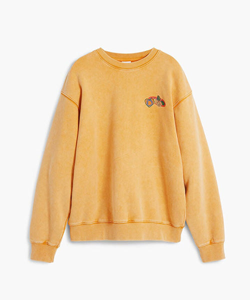 刺繍入りスウェット Desigual 25WMSK02